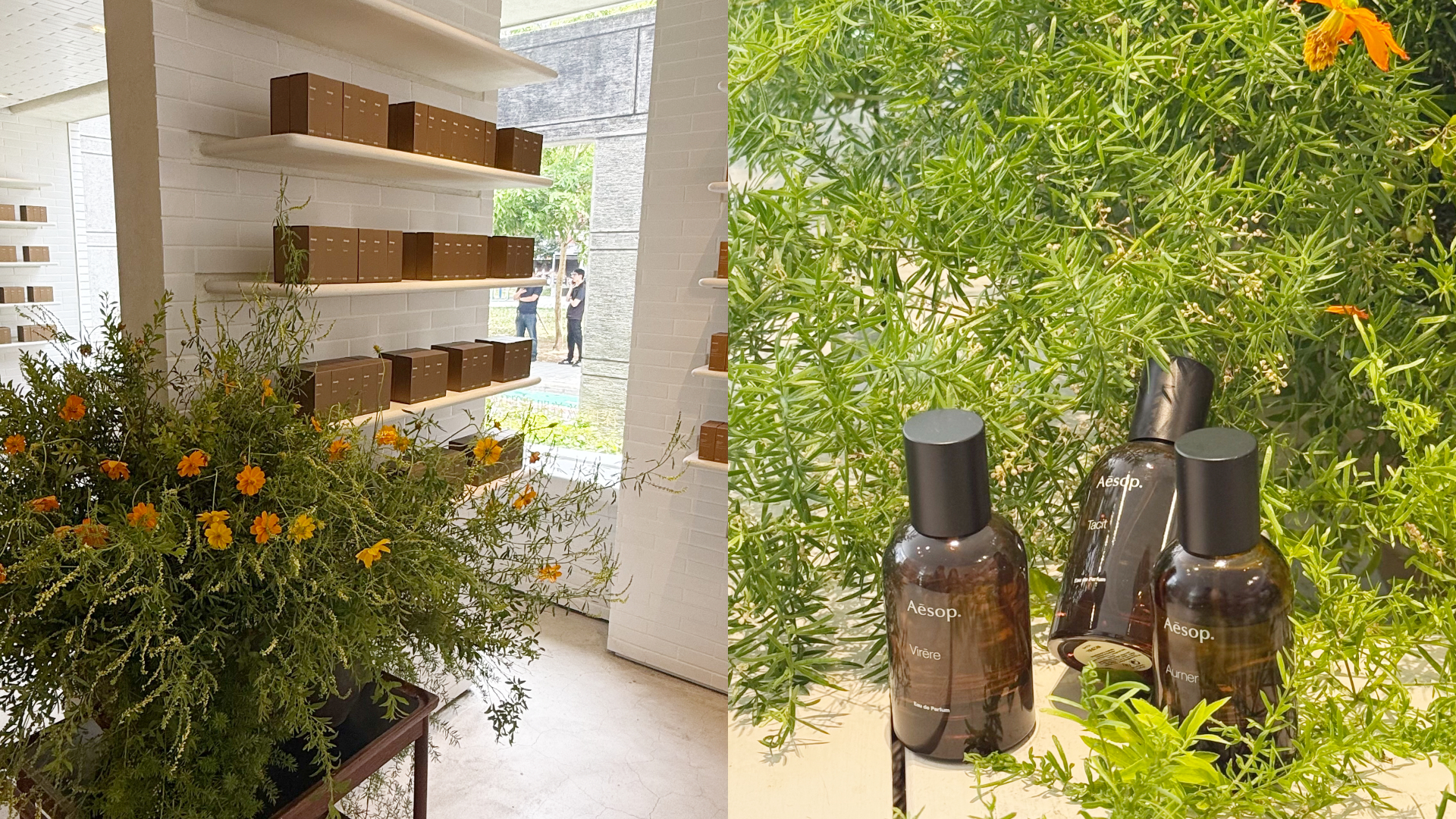 Aesop夏季期間限定花店